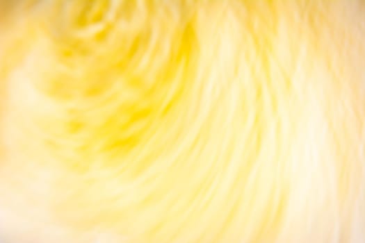 Abstract sunny day. Copy space. Yellow wavy swirls.