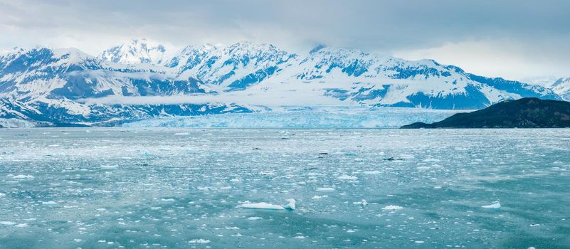 Wide view of the famous Hubbard Glacier as it enters the ocean on the Alaskan coast south of Valdez