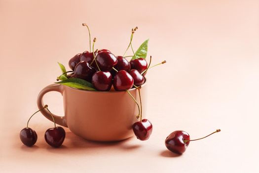 Fresh, ripe cherries in a ceramic mug on a beige background. copy space