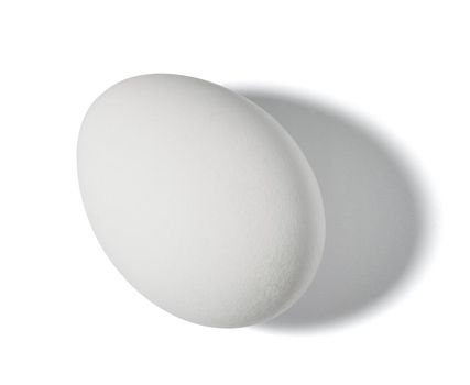 Close up of a white egg on white background