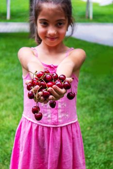 A child harvests cherries in the garden. Selective focus. Food.