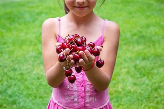 A child harvests cherries in the garden. Selective focus. Food.
