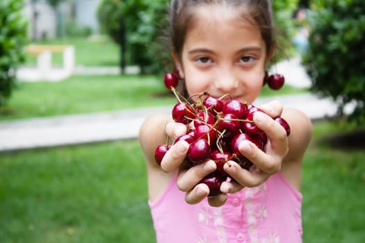 A child harvests cherries in the garden. Selective focus. Food.
