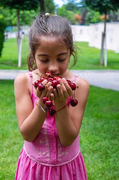 A child harvests cherries in the garden. Selective focus. Food.