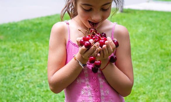 A child harvests cherries in the garden. Selective focus. Food.