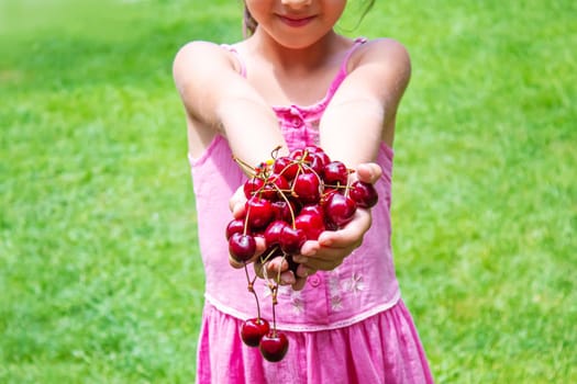 A child harvests cherries in the garden. Selective focus. Food.