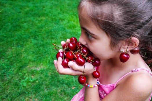 A child harvests cherries in the garden. Selective focus. Food.