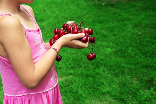 A child harvests cherries in the garden. Selective focus. Food.
