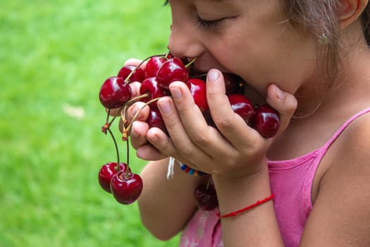 A child harvests cherries in the garden. Selective focus. Food.