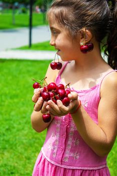 A child harvests cherries in the garden. Selective focus. Food.