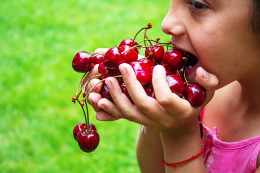 A child harvests cherries in the garden. Selective focus. Food.