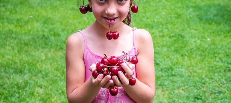 A child harvests cherries in the garden. Selective focus. Food.