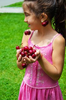 A child harvests cherries in the garden. Selective focus. Food.