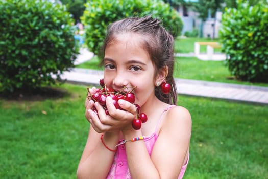 A child harvests cherries in the garden. Selective focus. Food.