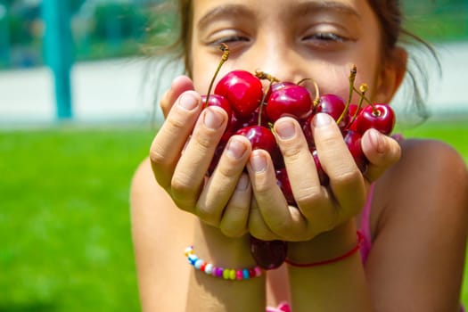 A child harvests cherries in the garden. Selective focus. Food.
