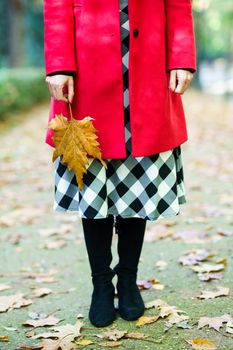 Crop anonymous female wearing red coat and checkered skirt standing with yellow leaf on pathway in autumn park