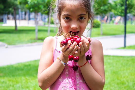 A child harvests cherries in the garden. Selective focus. Food.