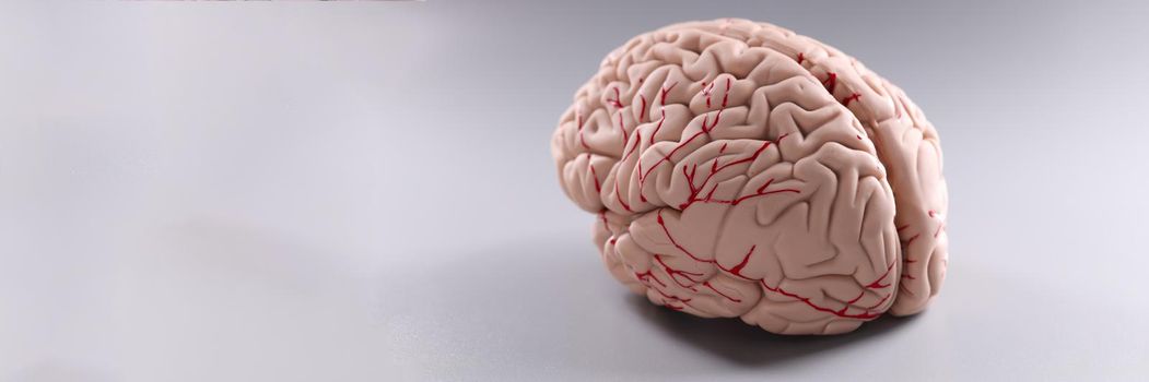 Artificial plastic model of human brain on gray background. Neurology concept