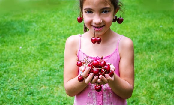 A child harvests cherries in the garden. Selective focus. Food.