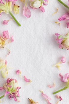 Floral pattern made of pinkflowers on white background. Flowers pattern texture top view