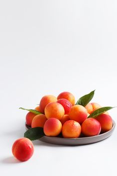 Apricots in a plate on a white background. Copy space