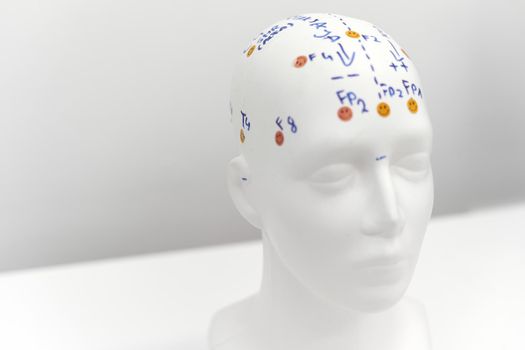 Mould of a human head used to monitor a patient during biofeedback therapy