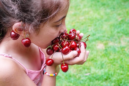 A child harvests cherries in the garden. Selective focus. Food.