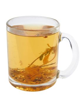 Herbal tea in cup on white background