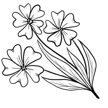 Hand drawn floral flower leaves illustration, black white elegant wedding ornament, Line art minimalism tatoo style design summer spring nature branch foliage blossom