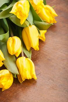 yellow tulips on wooden boards