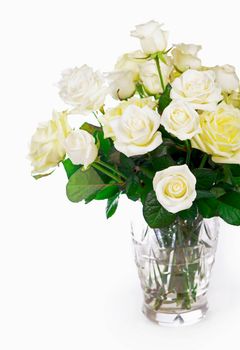 white Roses isolated on the white background