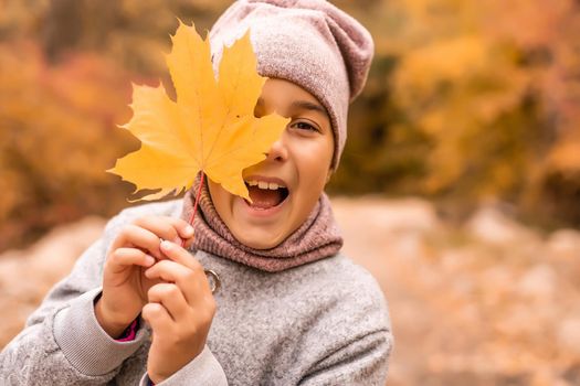 Kids play in autumn park. Children throwing yellow leaves. Child girl with maple leaf. Fall foliage. Family outdoor fun in autumn. Toddler or preschooler in fall.