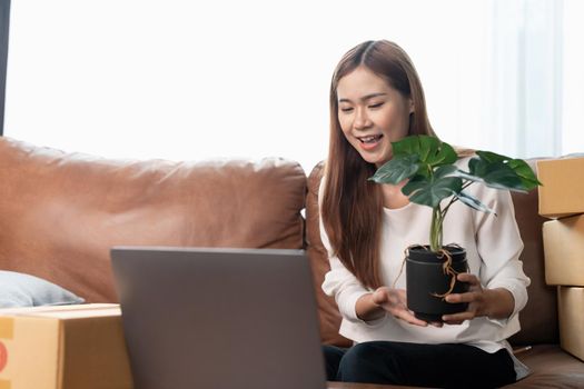 A female entrepreneur selling plants via live streaming laptop computer and checking orders from customer for online shopping concept.