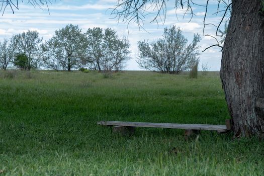 lonely bench in the field under shadow of tree crown. quiet place, face to face alone. calmness and relaxation. countryside landscape