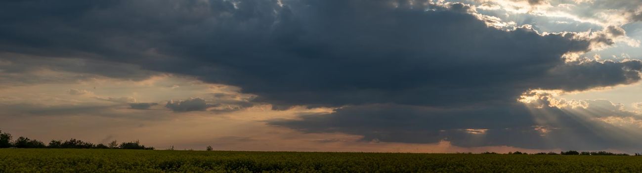 Panorama background of dramatic cloud scape, morning mist over the field. Sun rays through the clouds
