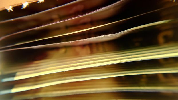 Macrophotography of tea bags in a box.Texture or background