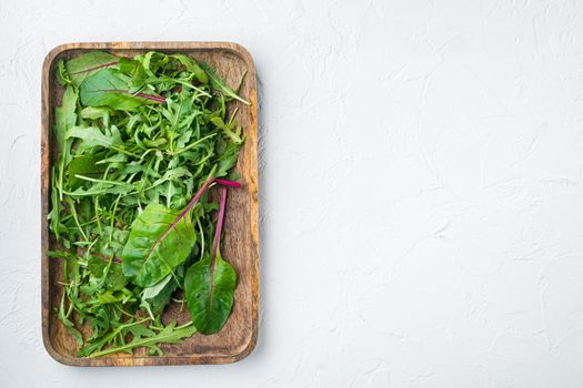Arugula raab and Mangold, Swiss chard, on white stone background, top view flat lay, with copy space for text