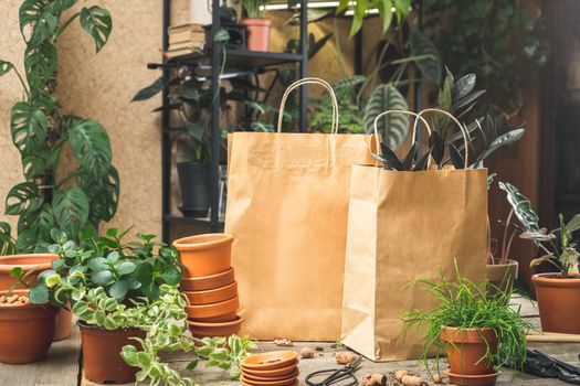 Paper bags with plants at the nursery shop or plant store. Plant shopping concept. Buying houseplants. Small business concept. Mockup friendly