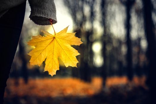 Loneliness in the evening autumn park, parting and seasonal depression.