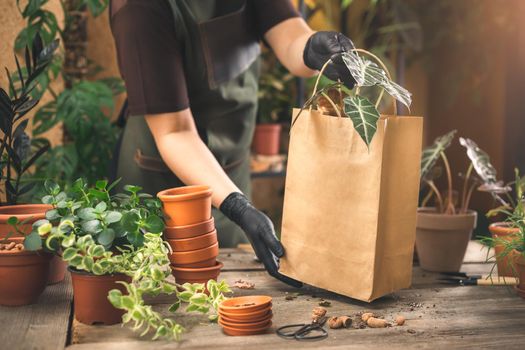 Female Florist at the flower shop holding the paper bag with plants for the delivery service. Plant store business owner and plant shopping concept