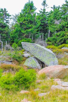Forest with stones rocks boulders fir trees and landscape panorama and walking trekking path at Brocken mountain peak in Harz mountains Wernigerode Saxony-Anhalt Germany