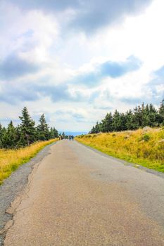 Forest with fir trees and landscape panorama and walking trekking path at Brocken mountain peak in Harz mountains Wernigerode Saxony-Anhalt Germany