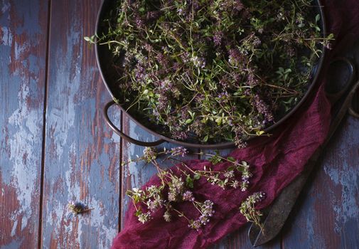 Vintage metal tray with fresh plants of wild thyme on blue wooden table with red cloth, flat lay with copy space.