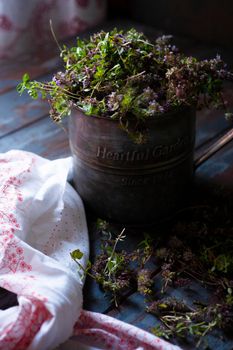 Vintage metal mug with fresh plants of wild thyme havested for drying on blue wooden table, selective focus.