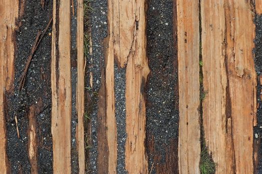 Vintage background texture of very old wooden planks - wood concept