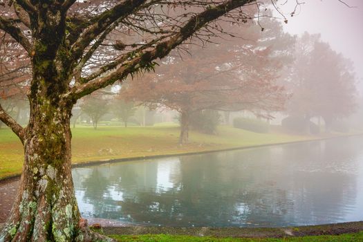 Misty lake in idyllic Landscape - Gramado, southern Brazil