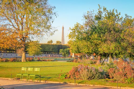 Eiffel tower view from Tuileries gardens at golden sunset Paris, France