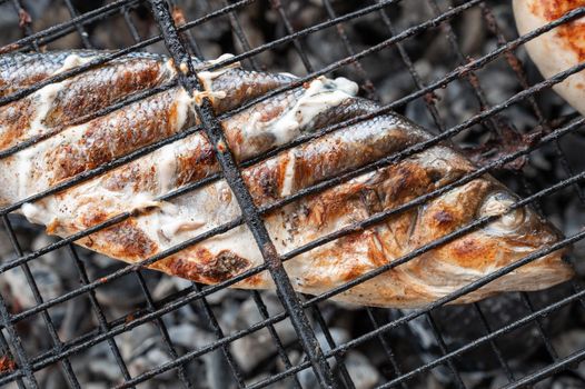 Appetizing sibas fish grilling on barbecue. Summer rest concept