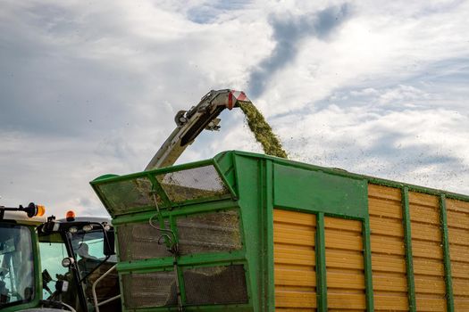 Leutkirch, Germany - June 06, 2022: The combine pours silage into the tractor-trailer in the field. Preparing animal feed for the winter.