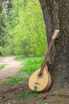 The national Greek string-plucked musical instrument Bouzouki was leaned against a tree. The concept of music and nature.